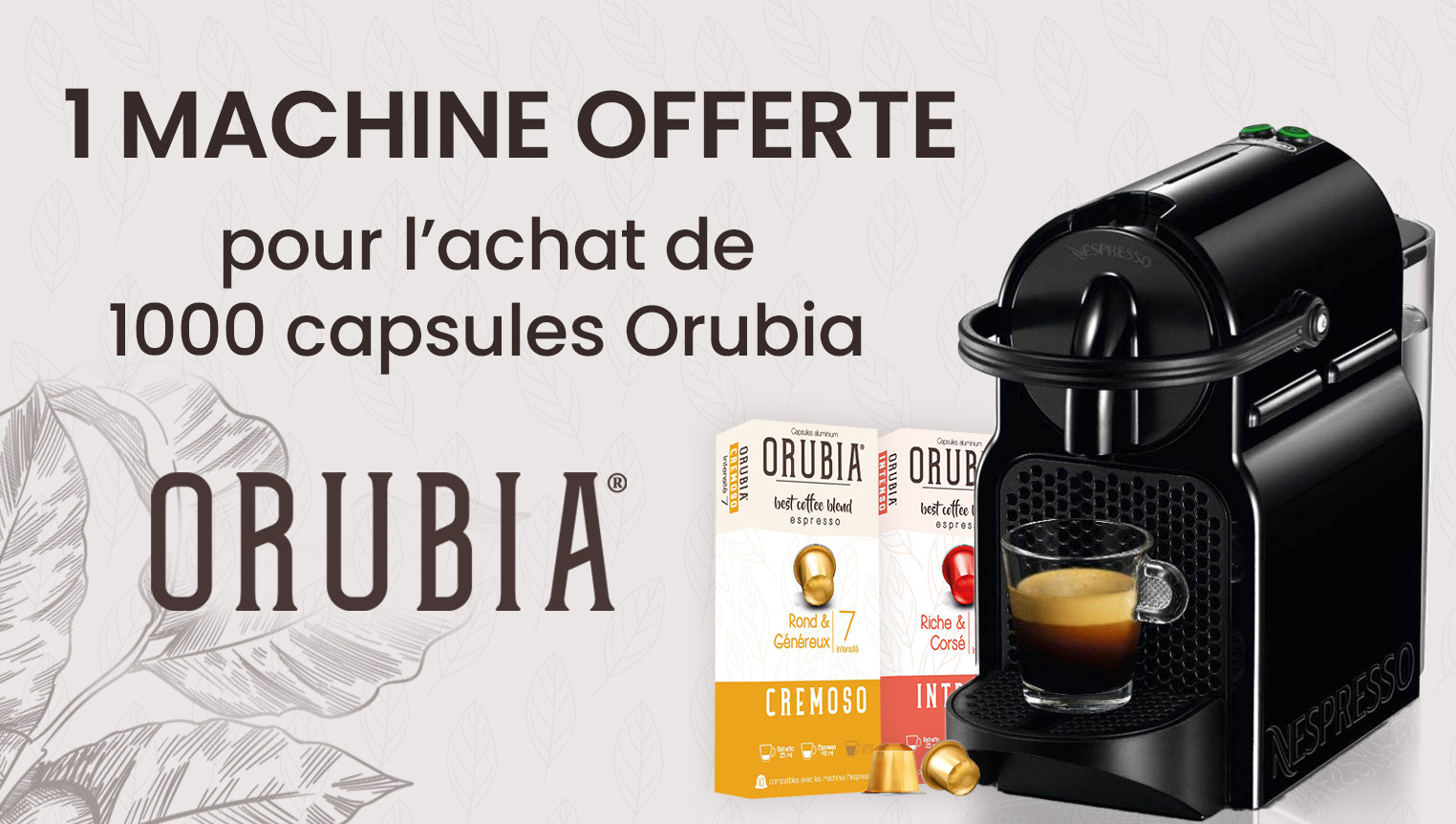 Lot 1000 Capsules Nespresso Orubia Machine Magimix Inissia OFFERTE